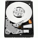 【中古】【輸入品 未使用】Western Digital VelociRaptor 300 GB 2.5-Inch カンマ 16 MB Cache カンマ 10 カンマ 000 RPM SATA II Bulk/OEM Hard Drive WD3000BLFS by Western Dig