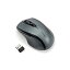 šۡ͢ʡ̤ѡKingston Wireless Mid-Size Mouse (K72423AM) [¹͢]