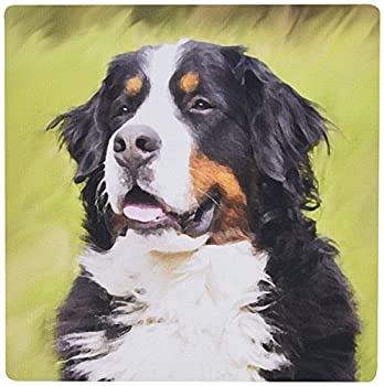 【中古】【輸入品・未使用】3dRose LLC 8 x 8 x 0.25 Inches Mouse Pad%カンマ% Bernese Mountain Dog (mp_4402_1) [並行輸入品]