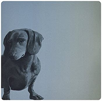 【中古】【輸入品 未使用】3dRose LLC 8 x 8 x 0.25 Inches Mouse Pad カンマ Adorable Daschund Dog Pets Animals (mp_130560_1) 並行輸入品