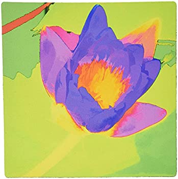 【中古】【輸入品・未使用】3dRose LLC Decorative Colorful Garden Botanic Plant Water Lily Flower Abstract Modern Bold Pattern Mouse Pad%カンマ% Purple Green (mp_3236