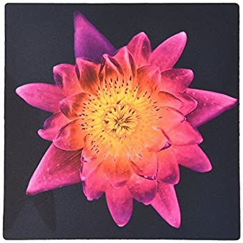 【中古】【輸入品・未使用】3dRose LLC Decorative Colorful Garden Botanic Plant Water Lily Gold Solarized Flower Abstract Pattern Mouse Pad%カンマ% Red Purple (mp_323