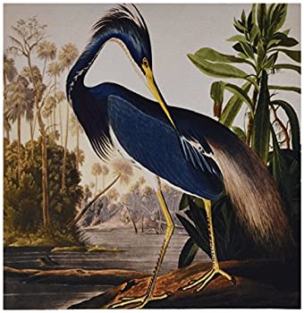 【中古】【輸入品・未使用】3dRose LLC 8 x 8 x 0.25 Inches Mouse Pad%カンマ% Vintage John J Audubon Painting of A Blue Heron (mp_119842_1) [並行輸入品]