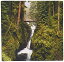 šۡ͢ʡ̤ѡ3dRose LLC 8 x 8 x 0.25 Inches Mouse Pad%% Olympic Np Sol Duc Falls Bridge Sol Duc River Jamie and Judy Wild (mp_95980_1) [¹͢