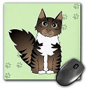 【中古】【輸入品 未使用】3dRose LLC 8 x 8 x 0.25 Inches Mouse Pad カンマ Cute Maine Coon Cartoon Cat Brown Tabby with White/Green with Pawprint (mp_35526_1) 並行