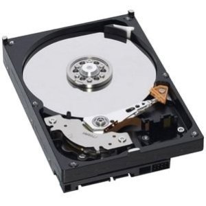 šۡ͢ʡ̤ѡibm- xseries storage 49y1866 rr 600gb sas 15000 rpm 6gb 3.5in hdd by Ibm [¹͢]