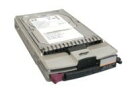 【中古】【輸入品・未使用】HP 364622-B23 HP HDD 300GB 10K RPM DP 2GB FC-AL (364622B23) by Comp...