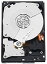 【中古】【輸入品・未使用】Western Digital 500 GB Caviar Black SATA 3 Gb/s 7200 RPM 32 MB Cache Bulk/OEM Desktop Hard Drive - WD5001AALS [並行輸入品]