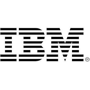 【中古】【輸入品 未使用】IBM VMware ESXi v.5.1 License and Media 1 Server 41Y8311 並行輸入品