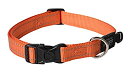 【中古】【輸入品・未使用】ログズユーティリティー ファンベルト犬用首輪、Lサイズ Orange (並行輸入品)
