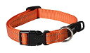 【中古】【輸入品・未使用】ログズユーティリティー スネーク犬用首輪、Mサイズ Orange (並行輸入品)