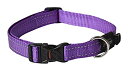 【中古】【輸入品・未使用】ログズユーティリティー ファンベルト犬用首輪、Lサイズ Purple (並行輸入品)