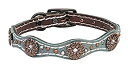 【中古】【輸入品・未使用】Weaver Leather サバンナ 犬の首輪 1 X 19-Inch