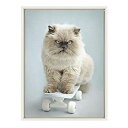 【中古】【輸入品・未使用】DesignOvation Sylvie Eddie Cat on Skateboard Framed Canvas Wall Art...