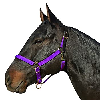 šۡ͢ʡ̤ѡ(Purple) - Intrepid International Breakaway Leather Crown Nylon Safety Halter