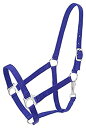 yÁzyAiEgpz(Royal Blue) - Tough 1 Economy Yearling Halter