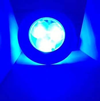 yÁzyAiEgpzMARINE BOAT BLUE LED STAINLESS STEEL HOUSING ROUND COURTESY LIGHT