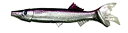 【中古】【輸入品・未使用】Mann 's Bait Company究極Hoo釣りルアー(パックof 20?)、10-inch、パール/パープルBack
