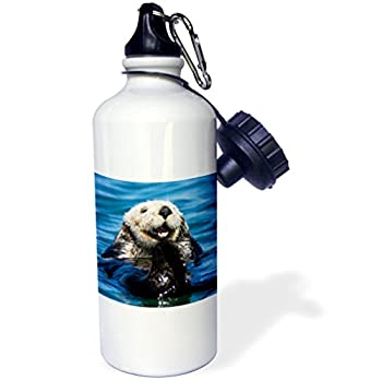 šۡ͢ʡ̤ѡ3dRose wb_88467_1 California Sea Otter%% Moss Landing%% California-US05 JGS0199-Jim Goldstein Sports Water Bottle%% 21 oz%%