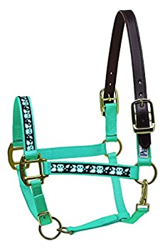 yÁzyAiEgpz(Mini-b) - Perri's Leather Mini B Turquoise with Owls Nylon Ribbon Safety Halter