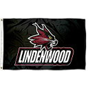 【中古】【輸入品・未使用】College Flags and Banners Co. リンデンウッド ライオンズ フラッグ
