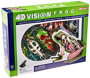 【中古】【輸入品・未使用】立体パズル 4D VISION 動物解剖 カエル解剖モデル [並行輸入品]