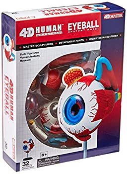 【中古】【輸入品・未使用】[TEDCO]TEDCO Human Anatomy Eyeball Anatomy Model 26054 [並行輸入品]