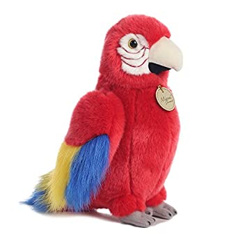 yÁzyAiEgpzMACAW PARROT