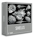 【中古】【輸入品・未使用】Jigsaw Puzzle 1000 Pieces: Cool Shells Jigsaw Puzzle for Adults