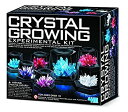 【中古】【輸入品・未使用】4M Crystal Growing Experiment [並行輸入品]