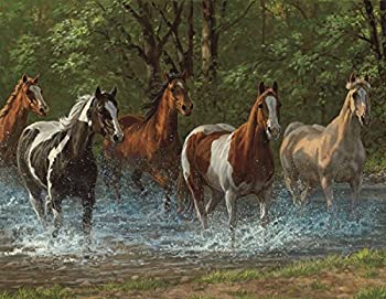 šۡ͢ʡ̤ѡSpringbok Puzzles Summer Creek Jigsaw Puzzle (500 Piece)%...