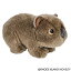 šۡ͢ʡ̤ѡAdventure Planet 7%֥륯% Heirloom Wombat Stuffed Animal [¹͢]