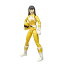 šۡ͢ʡ̤ѡHasbro Collectibles - Power Rangers Lightning Collection 6In Pet SpcYankee Romeo