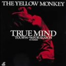 【未使用】【中古】TRUE MIND TOUR ’95〜’96 FOR SEASON:in motion [DVD]