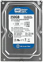 【中古】【輸入・日本仕様】WesternDigital WD2500AAJB CaviarBlue 3.5inch 7200rpm 250GB 8MB PATA/100