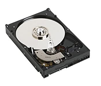 【未使用】WESTERN DIGITAL 3.5インチ内蔵HDD 1TB Serial-ATA 7200rpm 32MB WD1001FALS