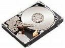 【未使用】Seagate 3.5インチ内蔵HDD 1TB 7200rpm S-ATAII 32MB ST31000524NS(2)