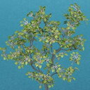 【中古-非常に良い】和巧 ジオラマアクセサリーシリーズ 1/48 リンデン