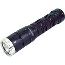 【未使用】SIGHTRON(サイトロン) LEDライト ブライトテック(BRIGHT-TECH) EX100FL 明るさ100ルーメン 防水 SOSモード搭載 ...