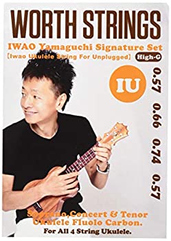 šWorth Strings IU 츹 IWAO Unplugged-High-G 63 եܥ ꥢ