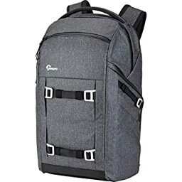 【中古】【輸入品・未使用】Lowepro FreeLine Backpack 350 AW (Heather Gray) [並行輸入品]