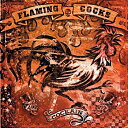 【未使用】【中古】Cockain