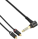 【中古】ソニー ヘッドホンケーブル 1.2m 標準プラグ バランス接続対応 MUC-M12NB1
