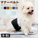 マナーベルト 犬 オス 男の子 おしゃれ ずれ 防止 漏れない パンツ マナーパンツ メッシュ ベルト マナーパッド マナーウェア マナー用