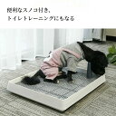【P20!】犬トイレ 犬トイレトレー 犬用トイレ しつけ用 トレーニング ペットトイレ フチもれしにくい 飛び散り防止 ひっかき防止 簡単取り換え S M 小中...