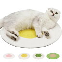 ペットベッド 猫 犬 噛んでも破れない ペットマット 爪研ぎマット 犬用 猫用 小型犬用 編みマット 洗える ストレス解消 遊び 耐噛み 爪磨き 通気性いい 寝...