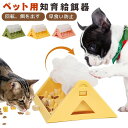 犬 知育給餌器 知育訓練 フードボウル 自動給餌器 おもちゃ 給餌おもちゃ おやつボウル 知育 早食い 防止 犬用品 知育玩具 ペット 餌入