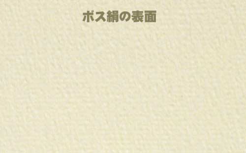 NO.19K ɽ�̲ù�ξ��̵�ϥϥ��� �ܥ�����100mmX148mm)��130kg��1,000��� ǯ������̿����������������� �ե饤�䡼 ���󥯥����åȥץ�󥿤ǰ���