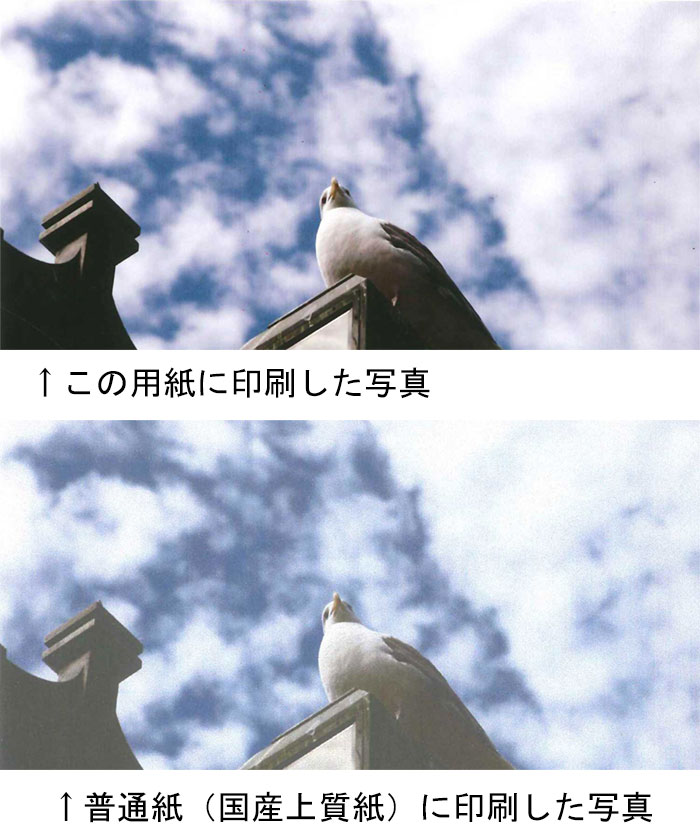 No.77-18-100 ��Ĺ ξ�̥��󥯥����å��б�̵�ϥϥ��� �ʰ������IJ�ۥ磻�ȡ�125kg���ǡ�Y�ܡ�(100mm x 200mm) ��100��� ǯ������̿����������������� �ե饤�䡼 ���󥯥����åȥץ�󥿤ǰ���