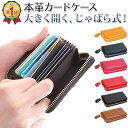 《期間限定ポイント20倍!!》 【楽天1